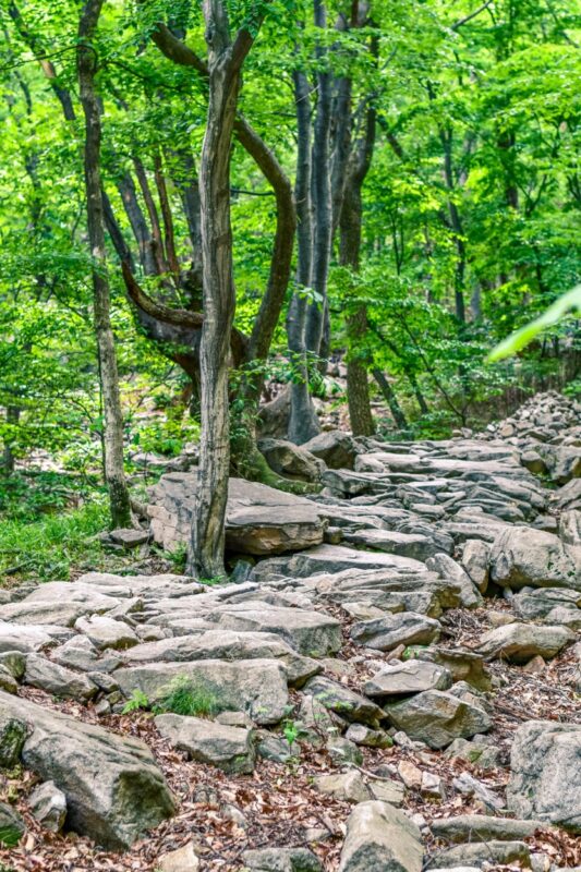 Hike the beautiful Gyeryongsan National Park, which offers multiple trails to the 15 different summits in the national park. Learn everything you need to know to prepare for a trip to Gyeryongsan National Park #southkorea #hike