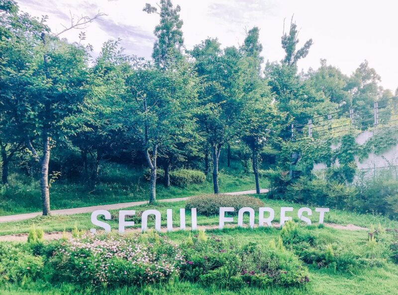 The Parks of Seoul : Check out some of the Parks that are hidden across Seoul. Enjoy nature while still being able to enjoy the big city. #seoul #parks #nature #southkorea