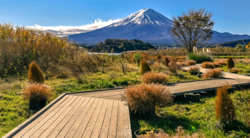 Views of Mount Fuji from Kawaguchi Lake: Oishi Park offers beautiful views over Lake Kawaguchi to Mount Fuji. Check out the seasonal flowers while visiting for various foreground options.