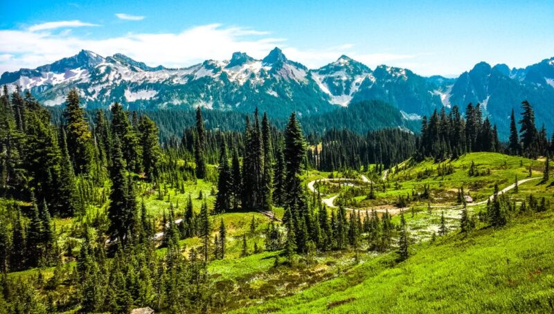 The 3 Best Mount Rainier Hikes for a beginner hiker. This hiking itinerary can also be accomplished with spending one day at the Mount Rainer National Park. This guide includes taking in the Paradise area with wildflowers, to the seeing the mirror reflection of Mount Rainier in Reflection Lakes, and concludes with an easy hike to a suspension bridge where the option to dip in a cool river ends the day. #rainier #washington #hike #nationalparks