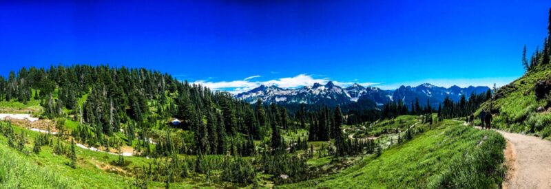 The 3 Best Mount Rainier Hikes for a beginner hiker. This hiking itinerary can also be accomplished with spending one day at the Mount Rainer National Park. This guide includes taking in the Paradise area with wildflowers, to the seeing the mirror reflection of Mount Rainier in Reflection Lakes, and concludes with an easy hike to a suspension bridge where the option to dip in a cool river ends the day. #rainier #washington #hike #nationalparks