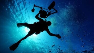 Are you looking to improve your underwater photography? Want to capture that perfect photograph to share with friends, on Instagram, or website? Here are some great tips for an underwater photograph! These underwater photography tips will help you improve your photography and ensure you leave your dive vacation with some of the best photos. #dive #underwaterphotography
