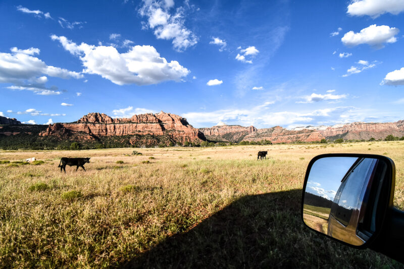 Van life is a growing trend across the world. Everyone is embracing the relaxed, simple life of road tripping with a bed on wheels. One of the options out there for partaking in this van life trend is Escape Campervans, a company that gained popularity with their unique and colorful campervans. This review will go over some of the advantages of campervans and then go further to explain what to expect when renting an Escape Campervan.