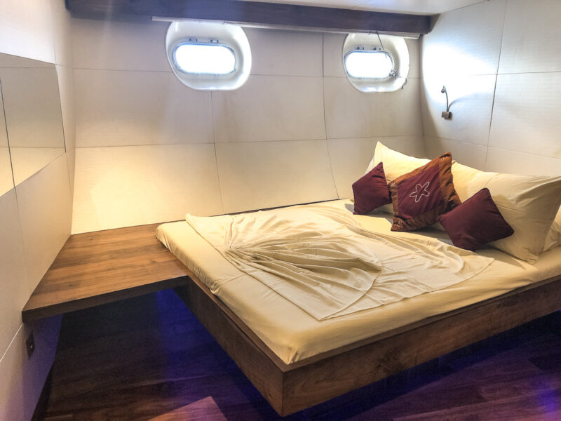 The seastar cabin on the Scubaspa. The Maldives is a popular location for divers to travel to in order to see Manta Rays and Whale Sharks in one trip! This post reviews Scubaspa, one of the liveaboards that offer a "Best of the Maldives". Is a liveaboard in the Maldives right for you?