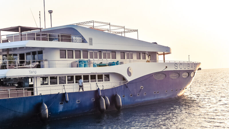 The Maldives is a popular location for divers to travel to in order to see Manta Rays and Whale Sharks in one trip! This post reviews Scubaspa, one of the liveaboards that offer a "Best of the Maldives". Is a liveaboard in the Maldives right for you?