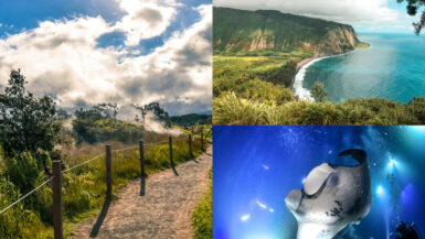 Some of the top things to do on the Big Island of Hawaii. From swimming with Manta Rays, to hiking through lava fields. Explore the nature of the island! #hike #dive #bigisland #hawaii