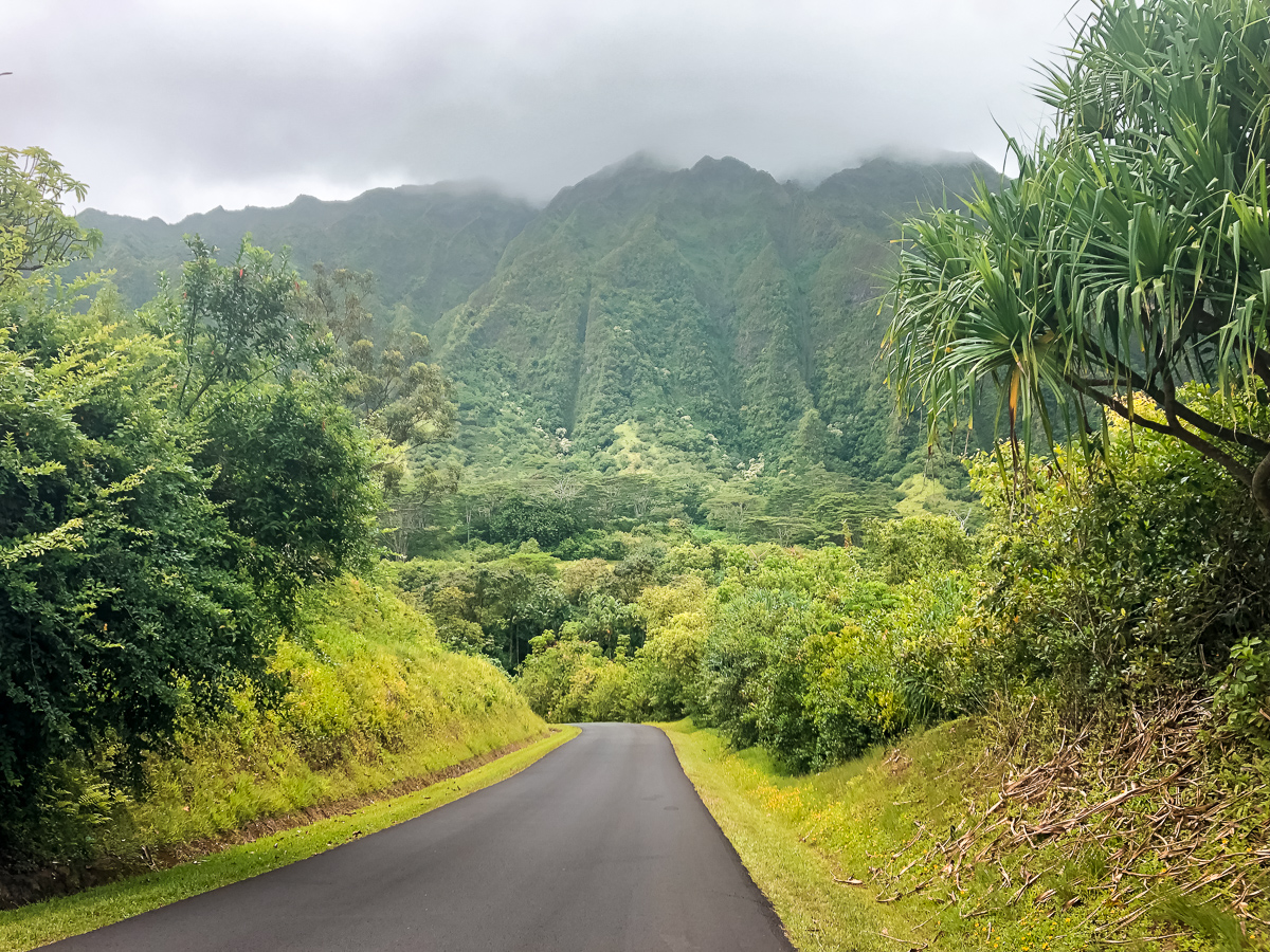 What To See At Ho Omaluhia Botanical Gardens Oceans To Alpines