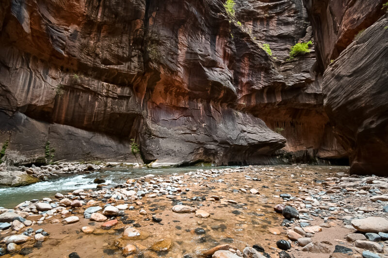 Want to know the best hikes at Zion National Park? Visit one of the most popular hikes at Zion National Park: The Narrows. Hiking the Narrows is a unique experience as a majority of the trail consist of walking in a stream that winds through a canyon. Learn more about this beautiful hike! #zionnationalpark #hiking #thenarrows