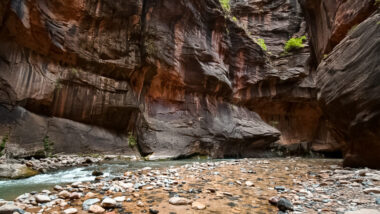 Visit one of the most popular hikes at Zion National Park: The Narrows. Hiking the Narrows is a unique experience as a majority of the trail consist of walking in a stream that winds through a canyon. Learn more about this beautiful hike! #zionnationalpark #hiking #thenarrows