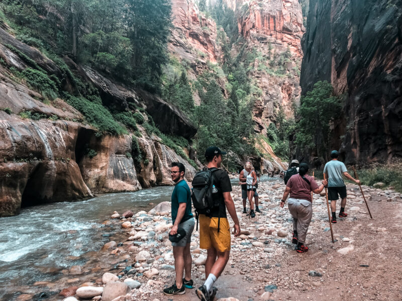 Visit one of the most popular hikes at Zion National Park: The Narrows. Hiking the Narrows is a unique experience as a majority of the trail consist of walking in a stream that winds through a canyon. Learn more about this beautiful hike! #zionnationalpark #hiking #thenarrows