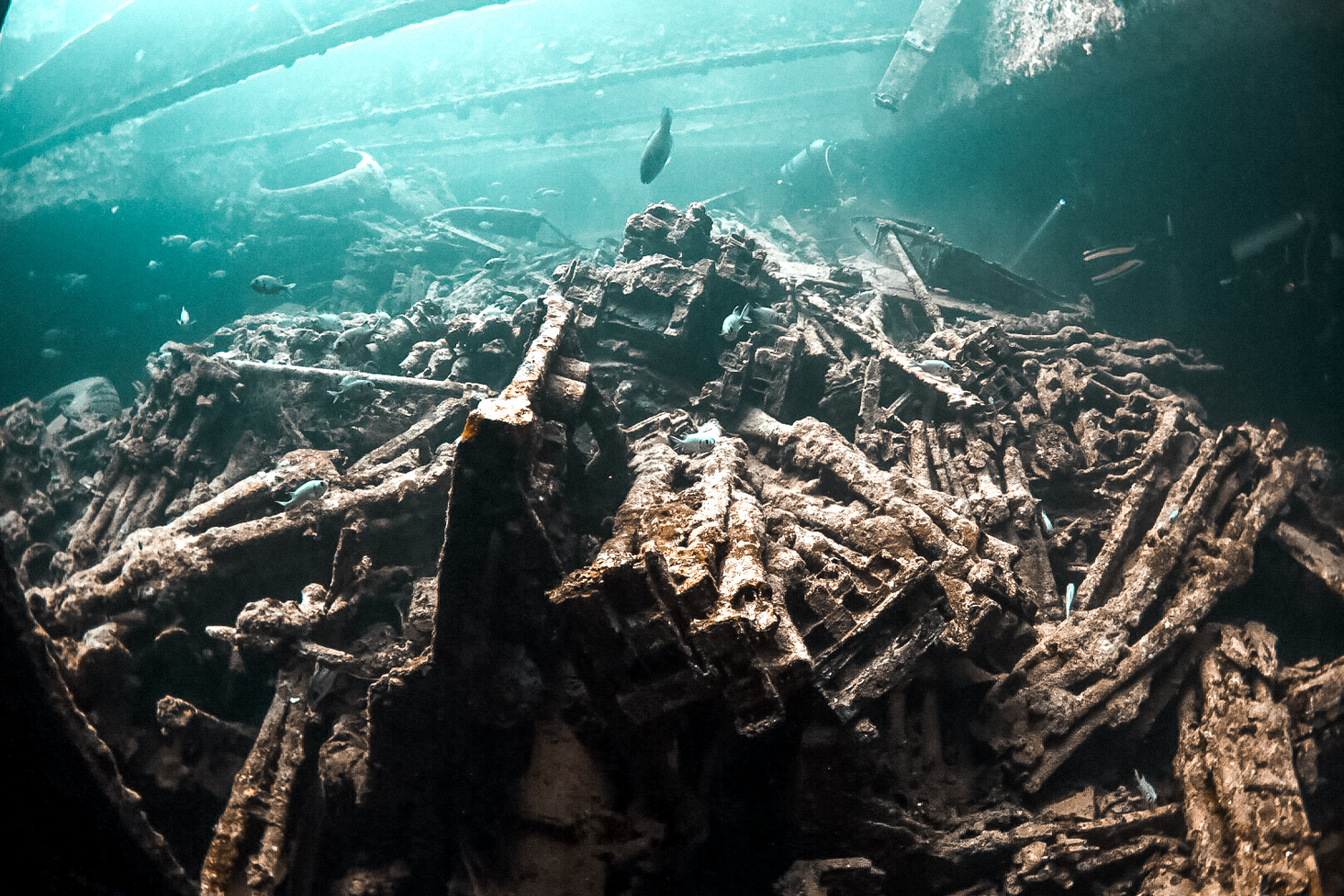 Diving The SS Thistlegorm Wreck — Oceans To Alpines