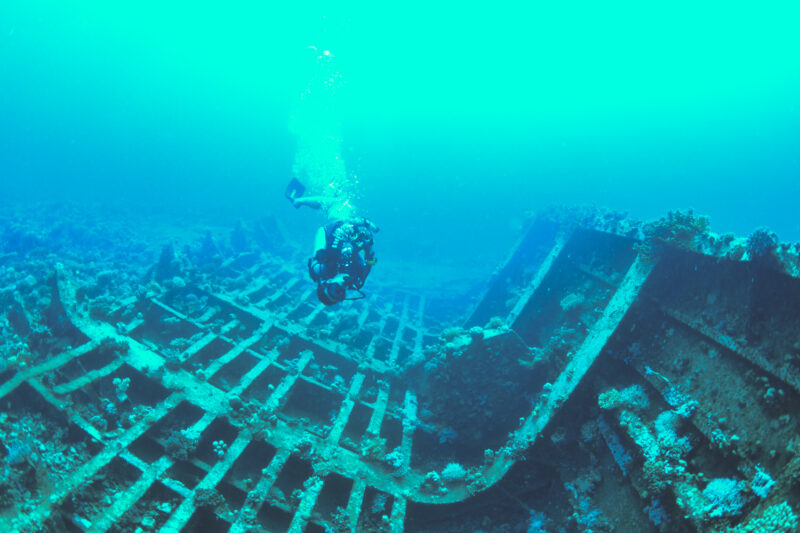 The ribs of the Giannis D wreck in the Red Sea. 
