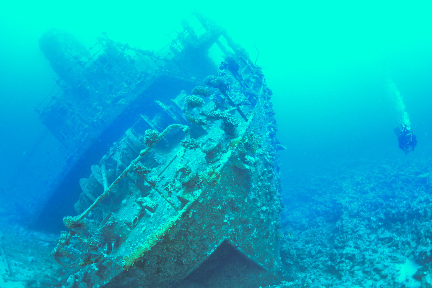 Stern of the Giannis D Wreck in the Red Sea.