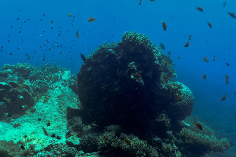 Part of the wreck of Kingston in the Red Sea.