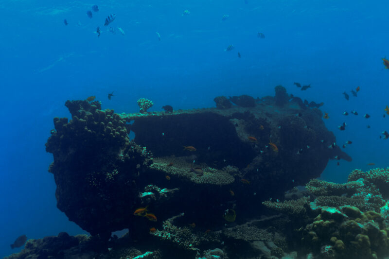 One of the boilers of the Kingston Wreck in the Red Sea.