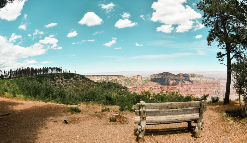 Bench view at Point Imperial at North Rim Grand Canyon National Park. Looking to visit the Grand Canyon? The Grand Canyon should be on any travelers bucket list. If you want to see amazing views of the Grand Canyon, but with far fewer people then learn about exploring the North Rim of the Grand Canyon. #grandcanyon #nationalpark #hike